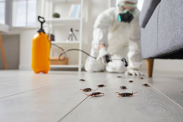 Trusted Rodent Control service in Raeford, NC - Nex Pest Control